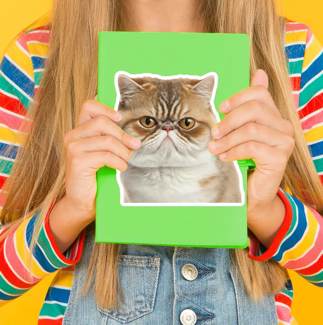 Perfect for decorating laptops, journals, or anything that needs a little extra attitude. SHOP Now at The Wishful Fish KIDS