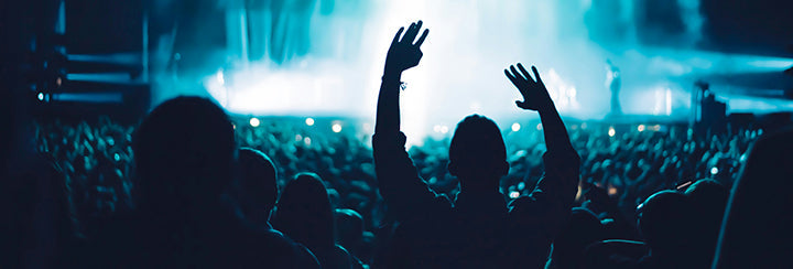 Understanding the Ultimate Swiftie Culture — I AM SWIFTIE | The Wishful Fish Kids