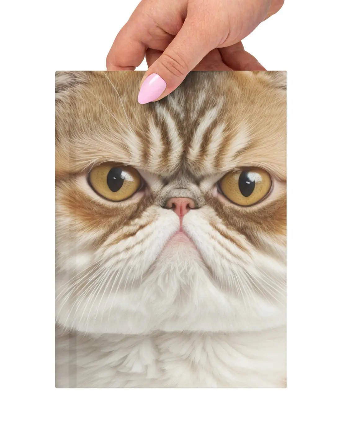 Whether you’re ruling your world or just pretending, the BOSS Cat Journal has your back. SHOP Now at The Wishful Fish KIDS