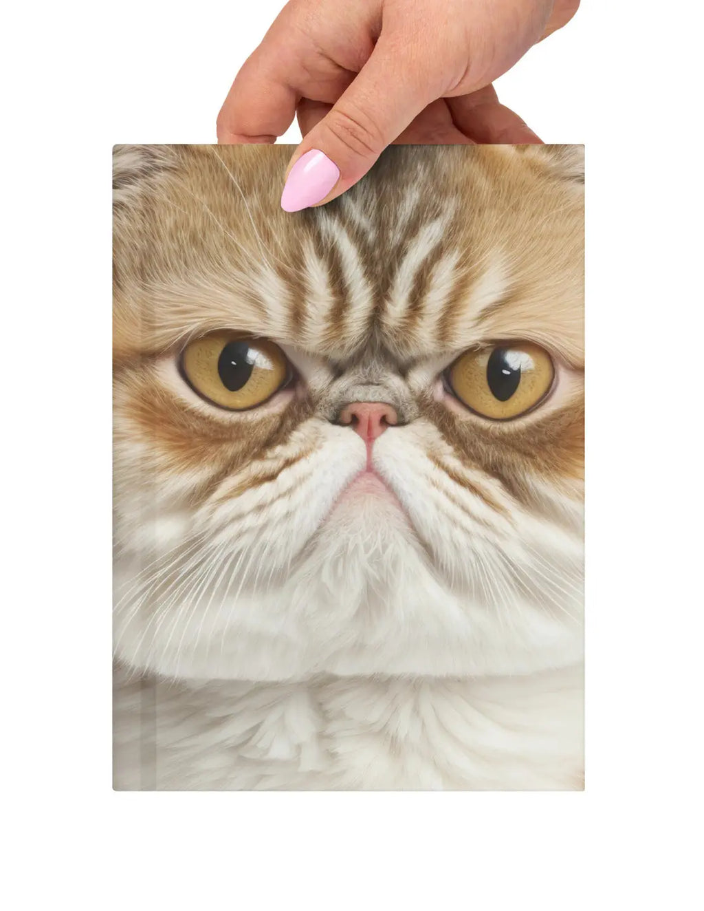 Whether you’re ruling your world or just pretending, the BOSS Cat Journal has your back. SHOP Now at The Wishful Fish KIDS