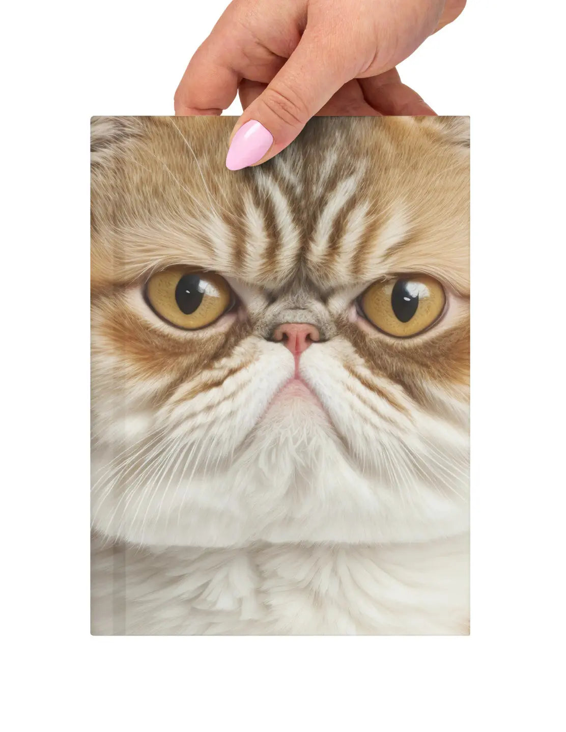 Whether you’re ruling your world or just pretending, the BOSS Cat Journal has your back. SHOP Now at The Wishful Fish KIDS