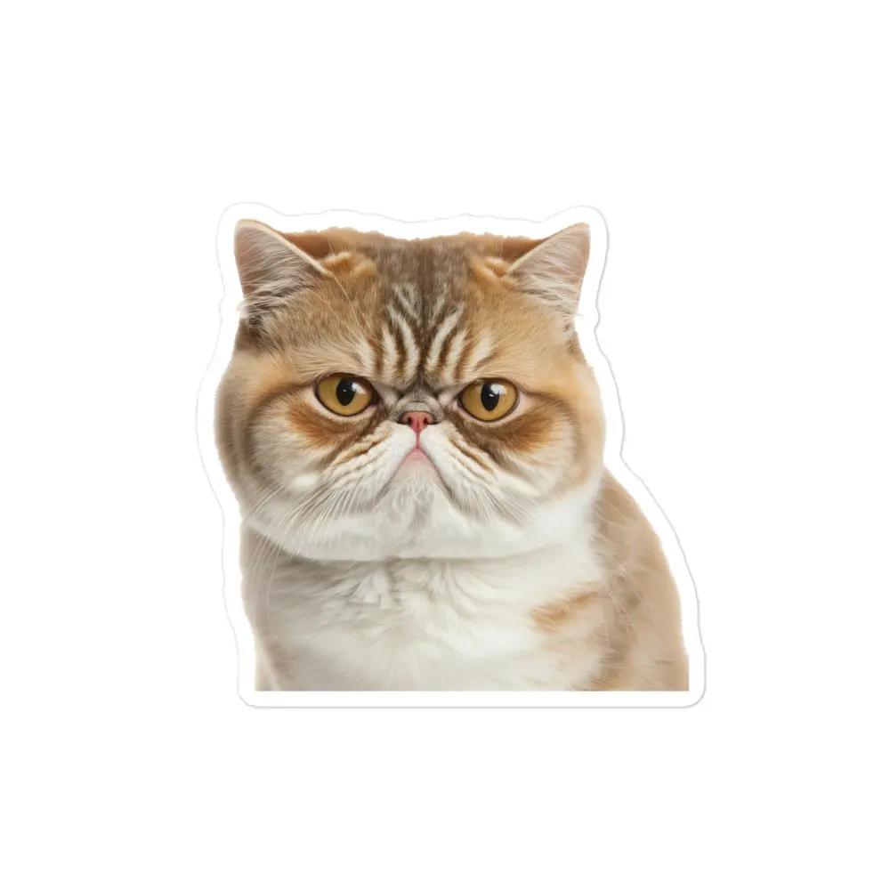 This fuzzy-faced feline may look unimpressed, but that’s what makes it so lovable. SHOP Now at The Wishful Fish KIDS