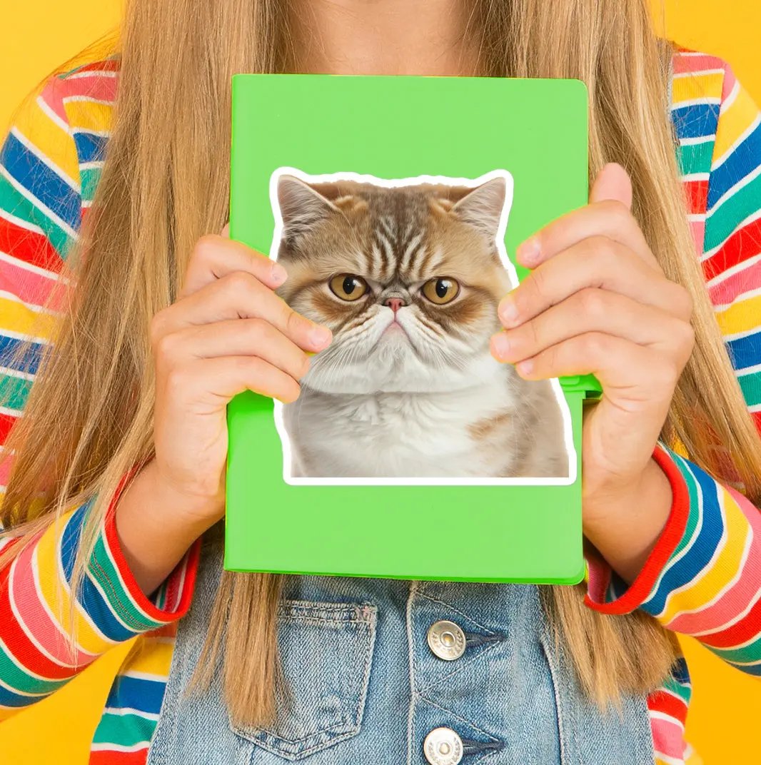 Perfect for decorating laptops, journals, or anything that needs a little extra attitude. SHOP Now at The Wishful Fish KIDS