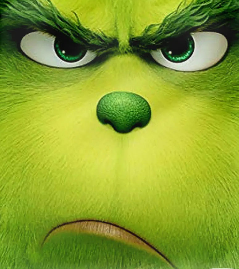 GRINCH FACE Drawstring Backpack — Holiday Fun on the Go! The Wishful Fish Kids