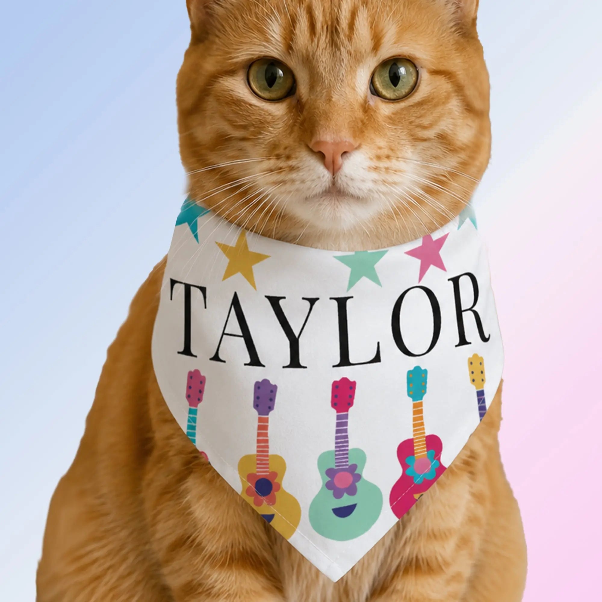 Because Your Pet is a Swiftie Too. SHOP Now at The Wishful Kids