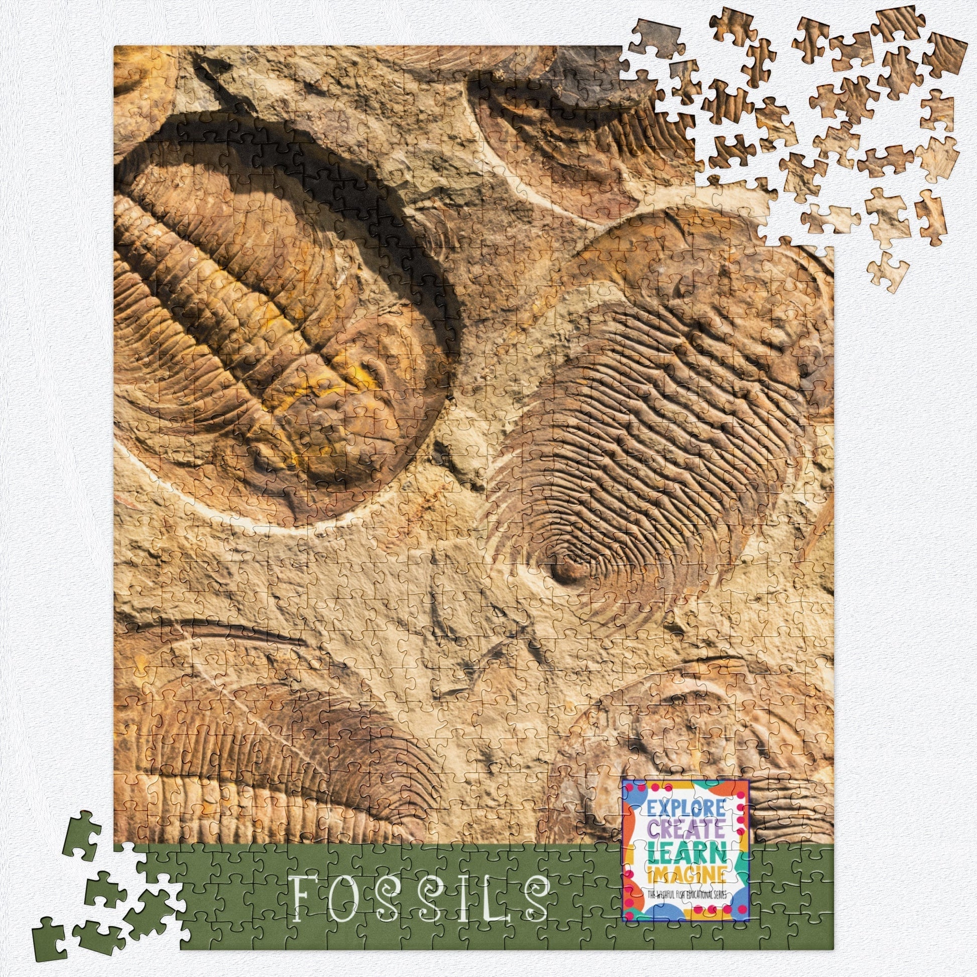 FOSSIL Educational Series Jigsaw Puzzle  520 Pieces - Premium  from The Wishful Fish Kids - Just $34.00! Shop now at The Wishful Fish Kids