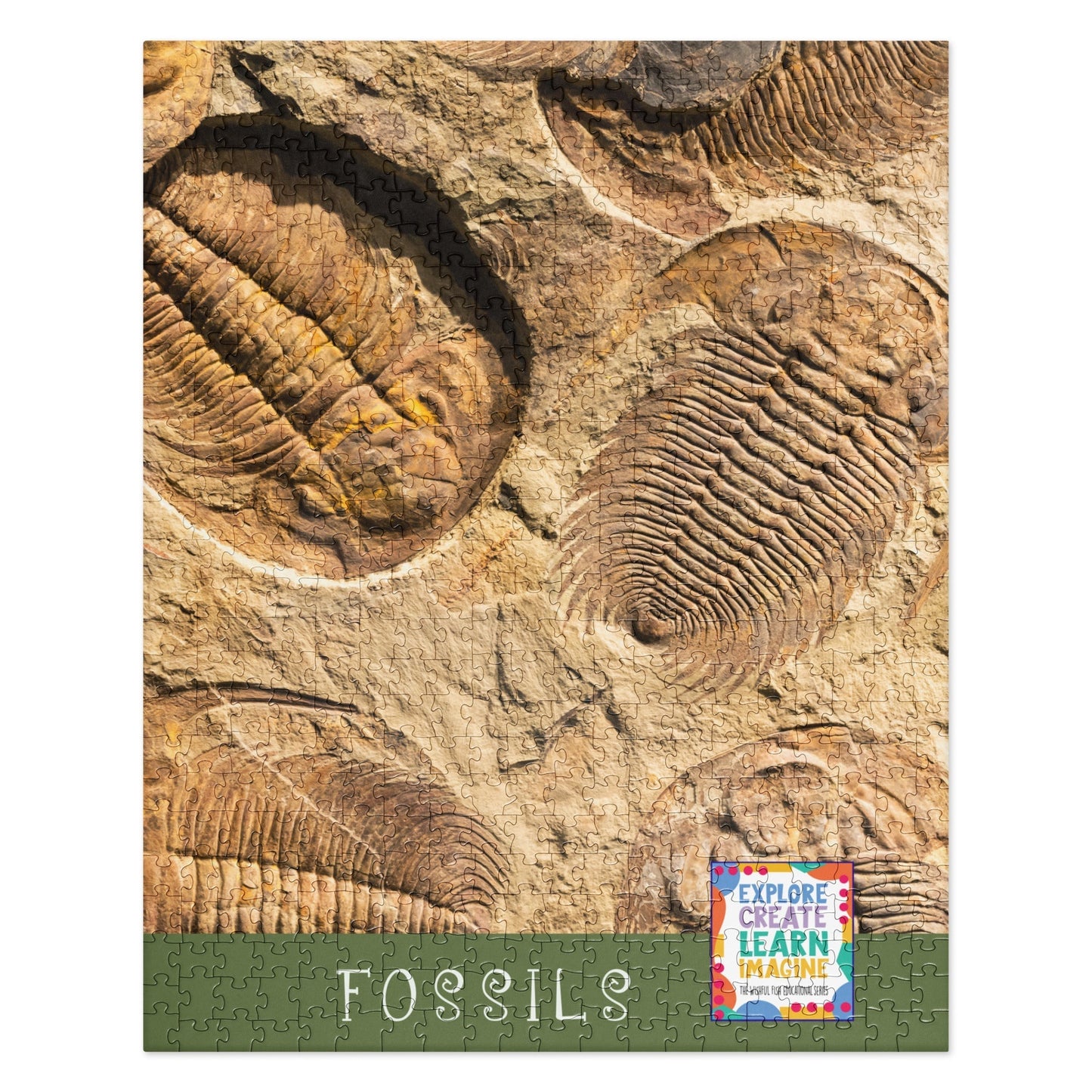 FOSSIL Educational Series Jigsaw Puzzle  520 Pieces - Premium  from The Wishful Fish Kids - Just $34.00! Shop now at The Wishful Fish Kids