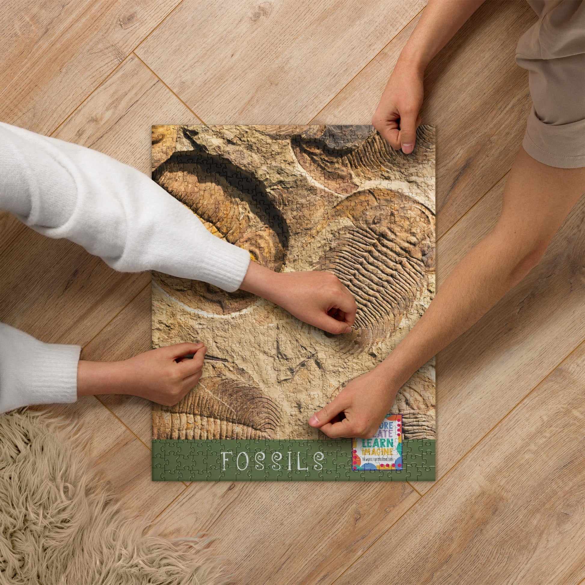 FOSSIL Educational Series Jigsaw Puzzle  520 Pieces - Premium  from The Wishful Fish Kids - Just $34.00! Shop now at The Wishful Fish Kids