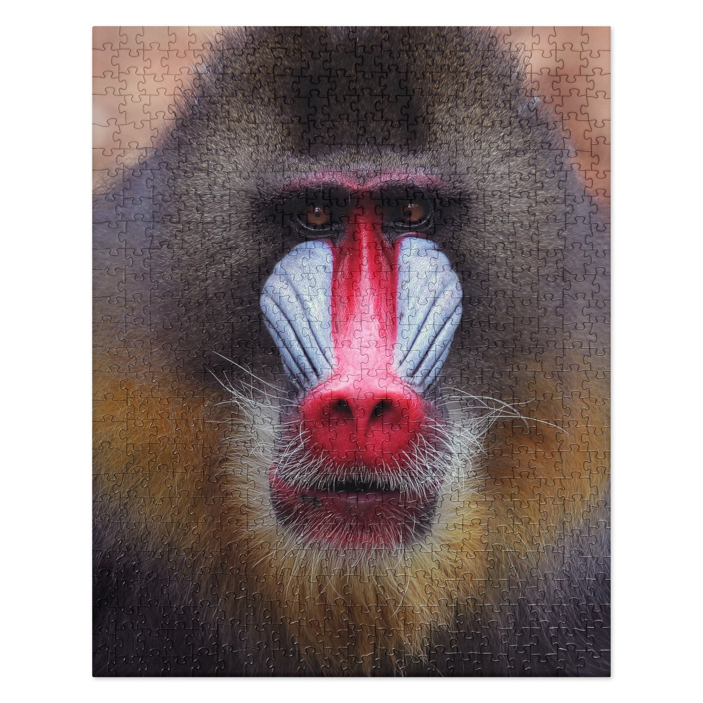 MANDRILL MONKEY Jigsaw Puzzle - 520 Pieces The Wishful Fish Kids