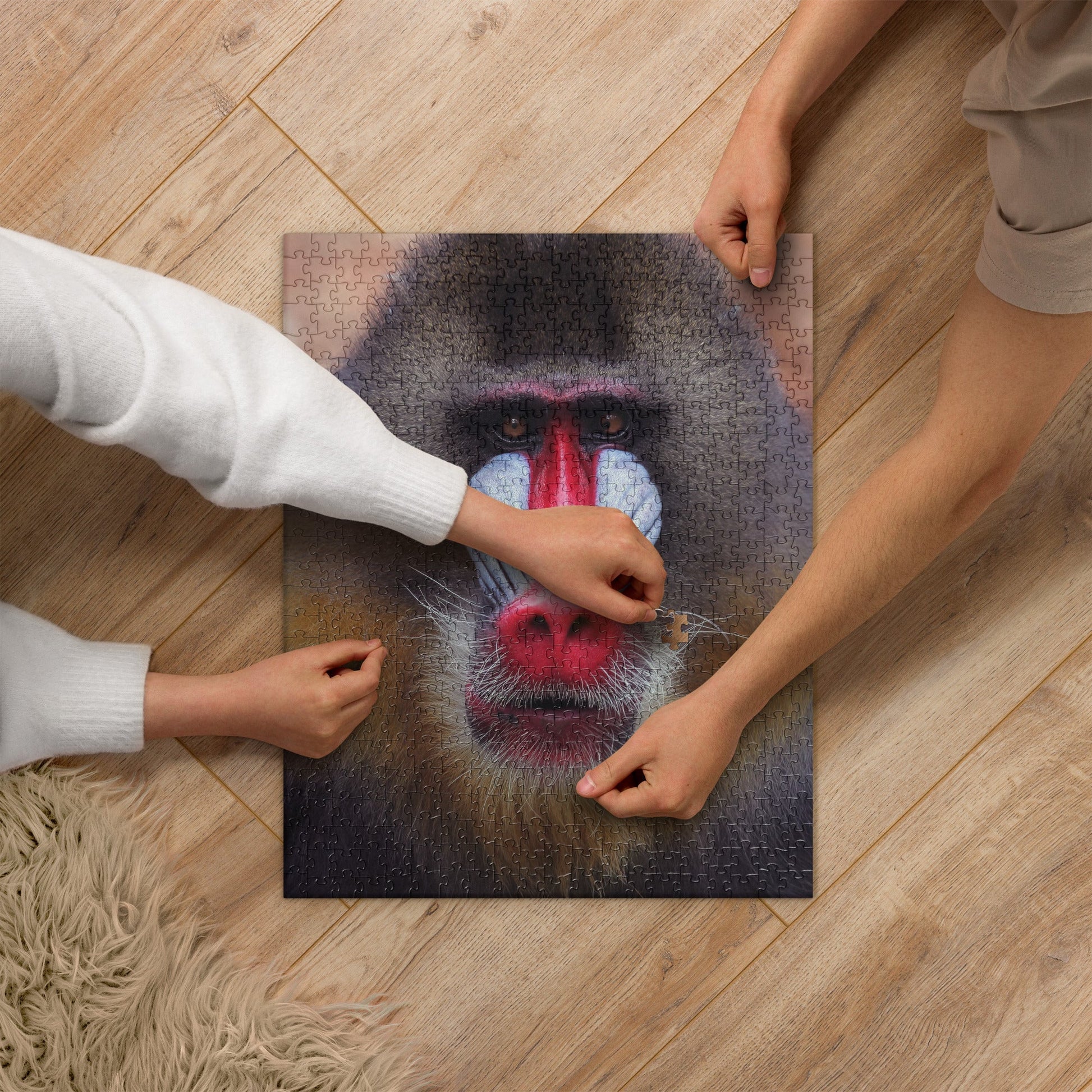 MANDRILL MONKEY Jigsaw Puzzle - 520 Pieces - Premium Jigsaw Puzzle from The Wishful Fish Kids - Just $38.00! Shop now at The Wishful Fish Kids