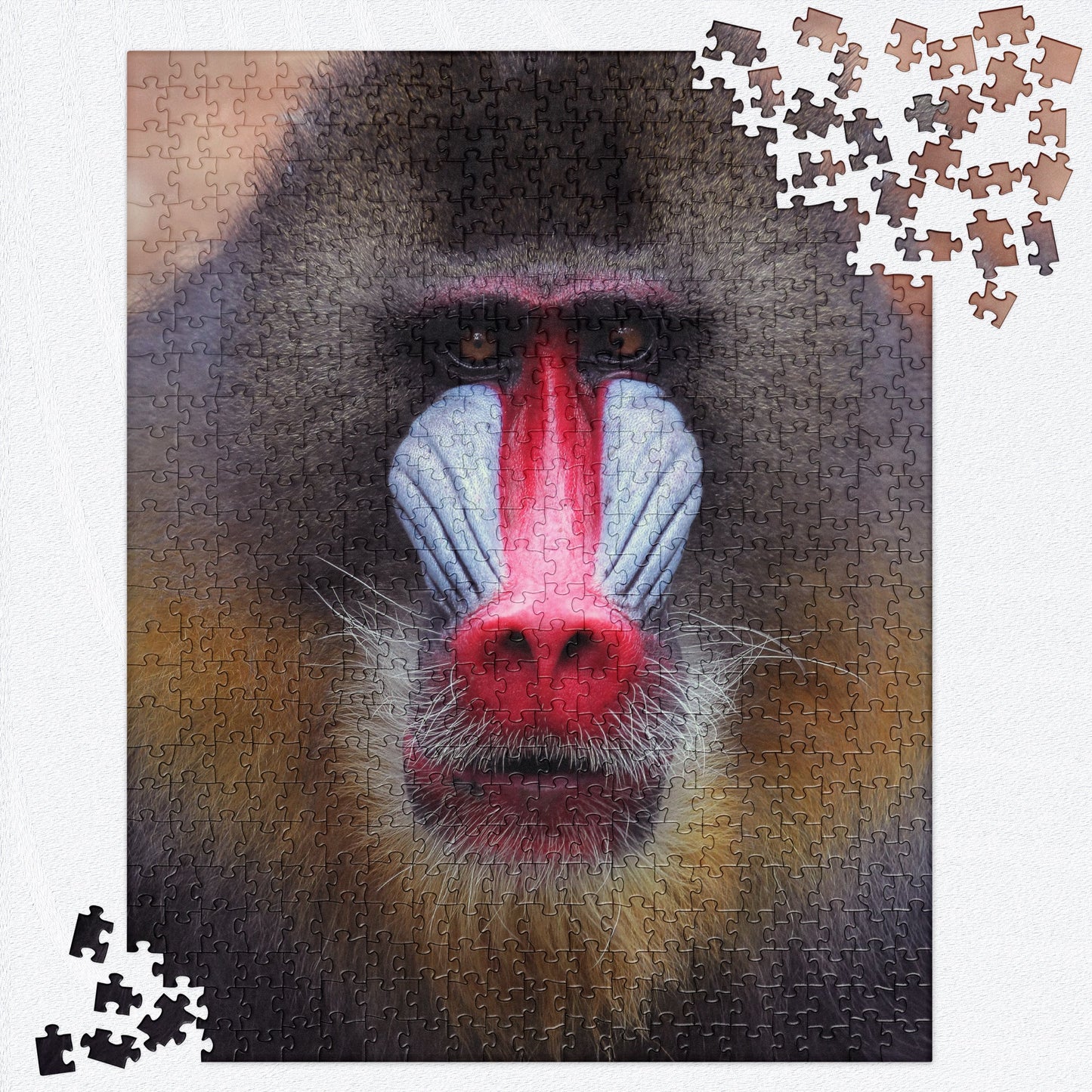 MANDRILL MONKEY Jigsaw Puzzle - 520 Pieces The Wishful Fish Kids